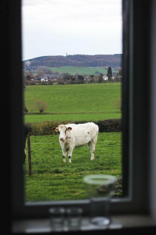 Hoeve "Doodleger" Вейлен Экстерьер фото